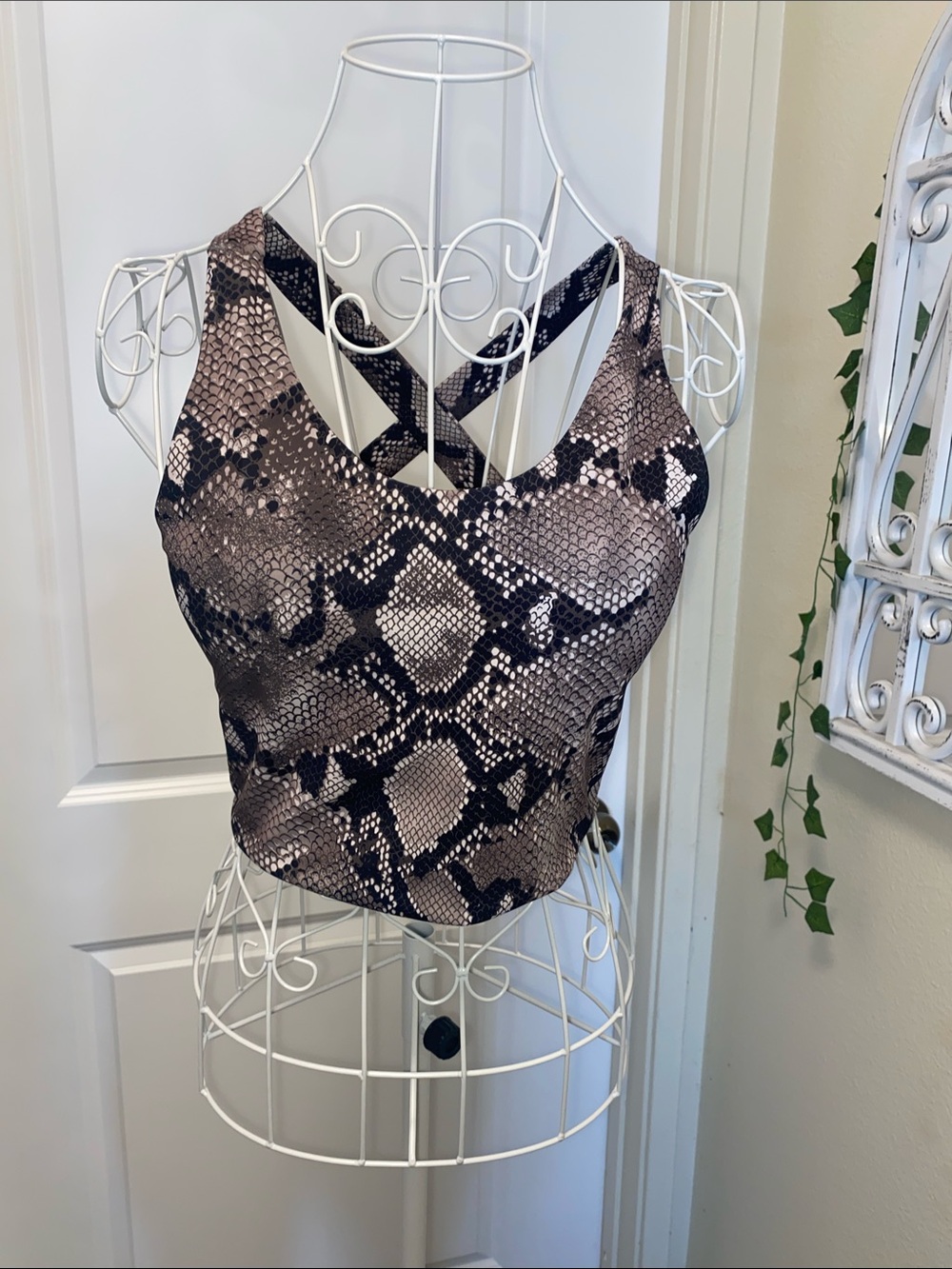 No Boundaries Snake Print Crop Top in Black and Tan